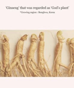 Alternative view of Ginseng Essence Water