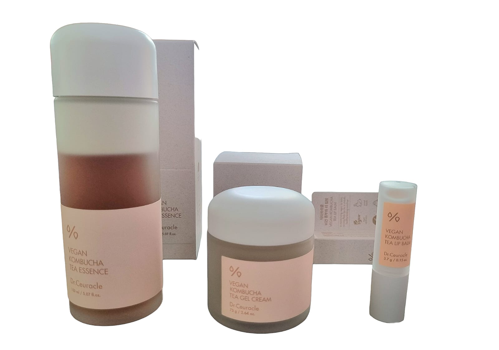 Vegan Kombucha Tea Set - Imagen 2
