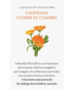 Alternative view of Calendula Officinalis Flower Extract Toner Jumbo